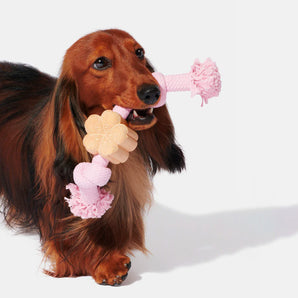 Cherry_Blossom_Knot_Rope_Dog_Toy