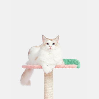 VT-6970279013428_Fruit-Shaped_Cat_Climber_and_Scratcher