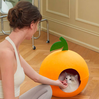 VT-6970279014234_Tangerine_Felt_Pet_Bed