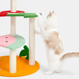 VT-6970279013428_Fruit-Shaped_Cat_Climber_and_Scratcher