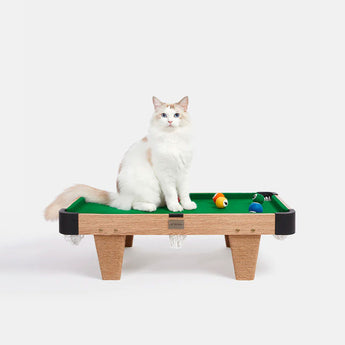 VT-6970279013442_Meownooker_Cat_Scratcher_Toy_Set