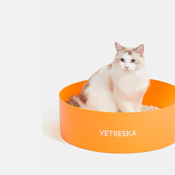 VT-6970279013145_Tangerine_Cat_Litter_Box