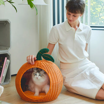 VT-6970279013664_Tangerine_Rattan_Pet_Bed_with_Plush_Cushion