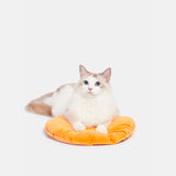 VT-6970279013664_Tangerine_Rattan_Pet_Bed_with_Plush_Cushion